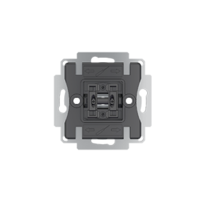 1628522065_8300018_ZS55_2switch_1w