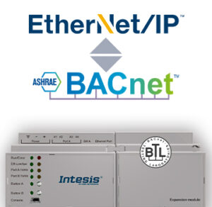 inbaceib1k2000.jpg