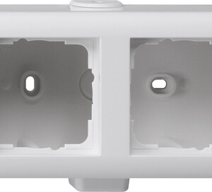 GIRA Sm Hous  2-G Standard 55 P White M