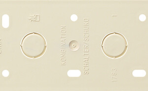 GIRA Mount Pl  2-G Combi Sm Sm Cr White