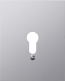 GIRA Metal Cov  W/O Symbols Wp Sm Alum