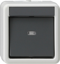 GIRA Rocker Sw  Cb 2-P Wp Sm Grey