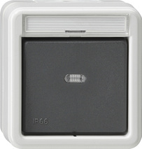 GIRA Rocker Sw  Cb 2-P In Sp  Wd Surface-Mounted Grey