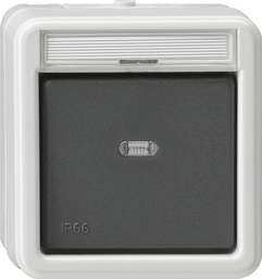 GIRA Rocker Sw  Interm Sw  In Sp  Wd Surface-Mounted Grey