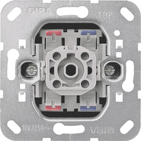 GIRA Rock Ind Sw  Cb 2-P Insert