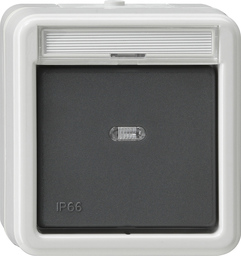 GIRA Rock Ind Sw  Cb 2-P In Sp  Wd Surface-Mounted Grey