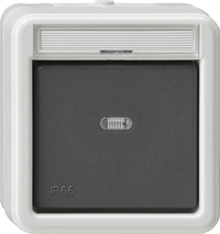 GIRA Rock Ind Sw  Off/2-Way In Sp  Wd Surface-Mounted Grey