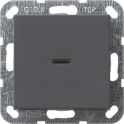 GIRA Pb Ind Sw  Cb 2-P System 55 Anthra