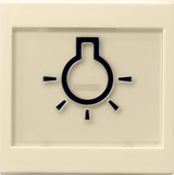 GIRA Rocker In Sp  + Sym Light Large Raised System 55 Cr White