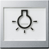GIRA Rocker In Sp  + Sym Light Large Raised System 55 C Alum