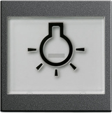 GIRA Rocker In Sp  + Sym Light Large Raised System 55 Anthra