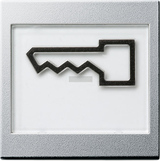 GIRA Rocker In Sp  + Sym Door Large Raised System 55 C Alum