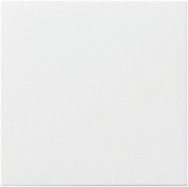 GIRA Cov  Ackermann 72642 C / 72639 A System 55 P White M
