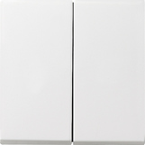 GIRA Rocker 2-G + Seal Ip44 Standard 55, Gira E2 P White M