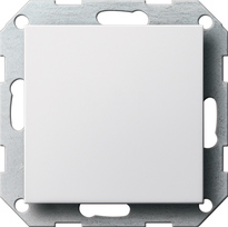 GIRA Blank Cov Pl  Sup Ring System 55 P White