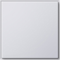 GIRA Blank Cov Pl  Gira Tx_44 (Wp Fm) P White