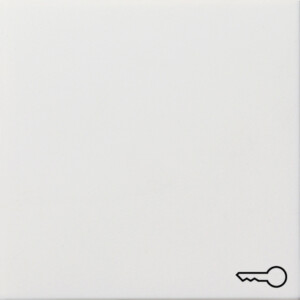 GIRA Rocker Sym Door Gira F100 P White