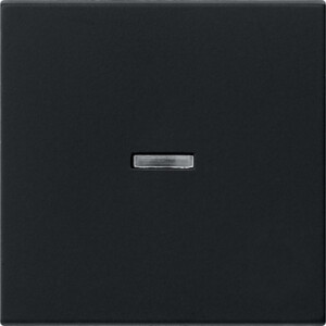 GIRA Rocker Ctrl Win  System 55 Black M
