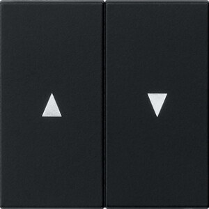 GIRA Rocker 2-G Arrow System 55 Black M