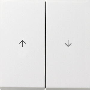 GIRA Rocker 2-G Arrow Gira F100 P White