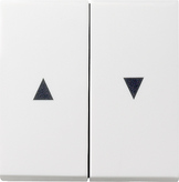 GIRA Rocker 2-G Arrow System 55 P White M