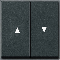 GIRA Rocker 2-G Arrow Gira Tx_44 (Wp Fm) Anthra
