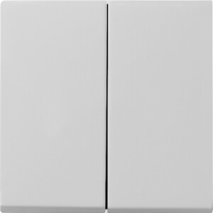 GIRA Rocker 2-G System 55 Grey M