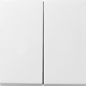GIRA Rocker 2-G Gira F100 P White