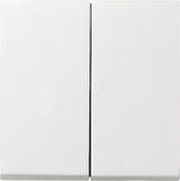 GIRA Rocker 2-G System 55 P White M