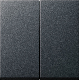 GIRA Rocker 2-G System 55 Anthra