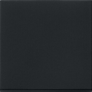 GIRA Rocker System 55 Black M