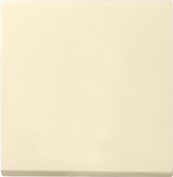 GIRA Rocker System 55 Cr White