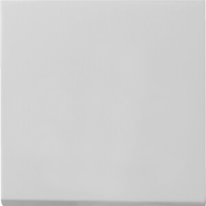 GIRA Rocker System 55 Grey M
