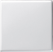 GIRA Rocker System 55 P White
