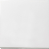 GIRA Rocker System 55 P White M