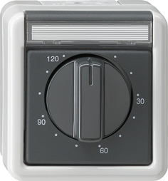 GIRA Time Sw  2-P 120 Min In Sp  Wp Sm Grey