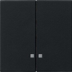 GIRA Rocker 2-G Ctrl Win  System 55 Black M
