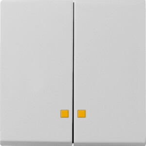 GIRA Rocker 2-G Ctrl Win  System 55 Grey M