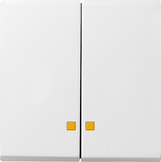 GIRA Rocker 2-G Ctrl Win  System 55 P White