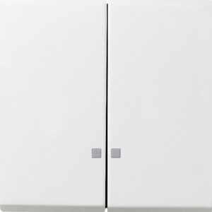GIRA Rocker 2-G Ctrl Win  Gira F100 P White