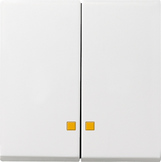 GIRA Rocker 2-G Ctrl Win  System 55 P White M