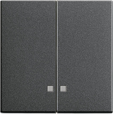 GIRA Rocker 2-G Ctrl Win  System 55 Anthra