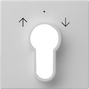 GIRA Cov  Key Sw /Btn System 55 Grey M