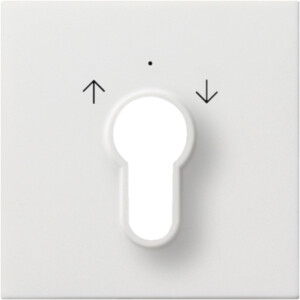 GIRA Cov  Key Sw /Btn Gira F100 P White
