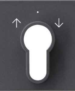 GIRA Cov  Key Sw /Btn System 55 Anthra
