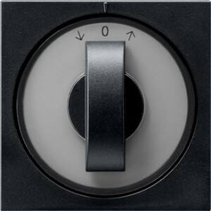 GIRA Cov  Toggle Sw  Time Sw  + Blind Sw /Btn System 55 Black M