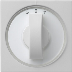 GIRA Cov  Toggle Sw  Time Sw  + Blind Sw /Btn System 55 Grey M