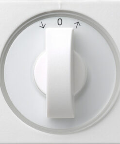 GIRA Cov  Toggle Sw  Time Sw  + Blind Sw /Btn System 55 P White