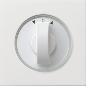 GIRA Cov  Toggle Sw  Time Sw  + Blind Sw /Btn Gira F100 P White
