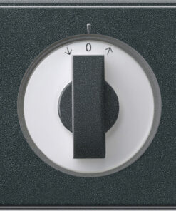 GIRA Cov  Toggle Sw  Time Sw  + Blind Sw /Btn Gira Tx_44 (Wp Fm) Anthra